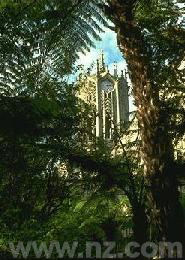 Auckland University