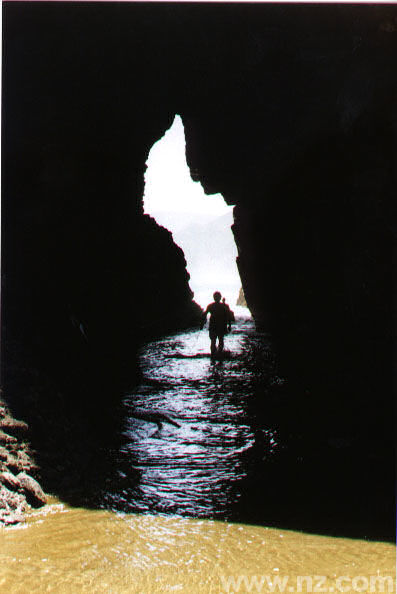 Piha, Surfing