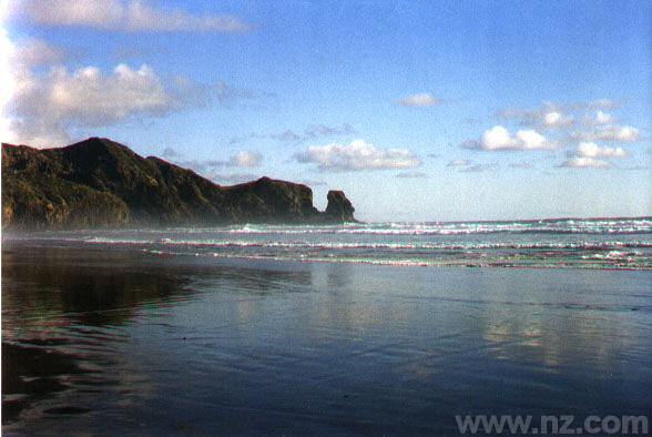 Te Henga Headland