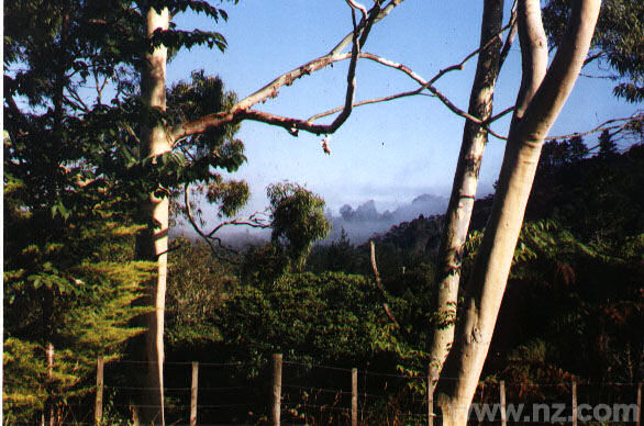 Waitakere Ranges